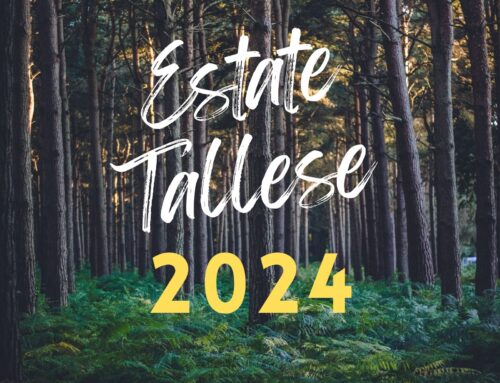 Estate Tallese 2024 – PROGRAMMA